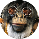David A. profile picture